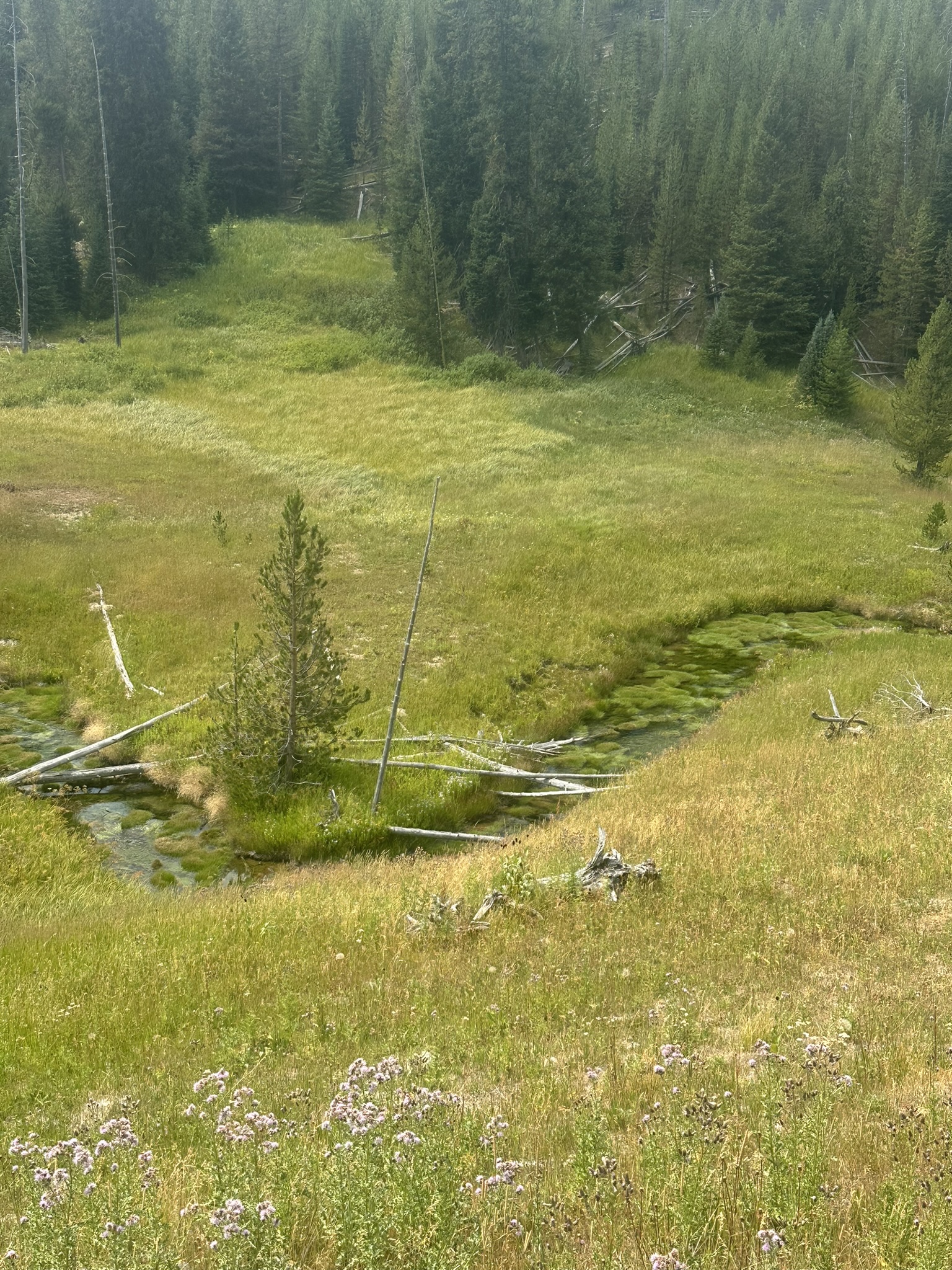 Yellowstone And Grand Teton National Parks - Image 674